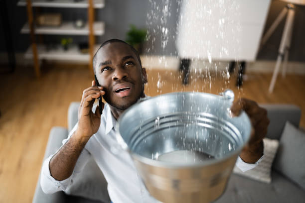 Best Flooded house restoration  in High Springs, FL