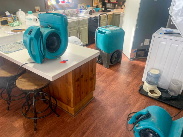 Fire Damage Restoration in High Springs, FL
