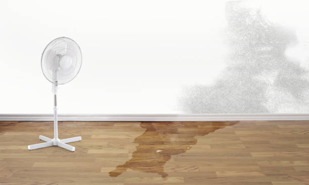 Best Sewage cleanup and water damage restoration  in High Springs, FL