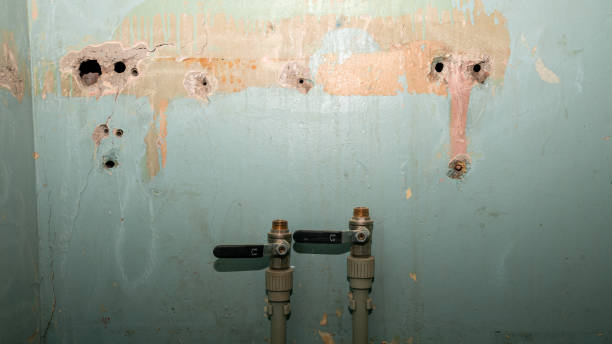 Best Professional water damage repair  in High Springs, FL