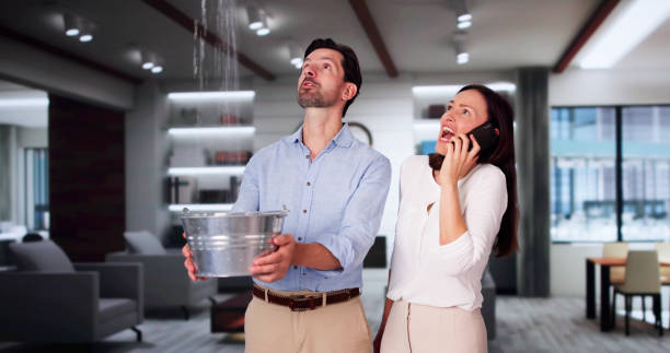 Best 24-hour water damage restoration  in High Springs, FL