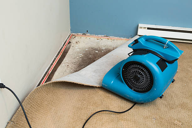 Best Fire Damage Restoration  in High Springs, FL